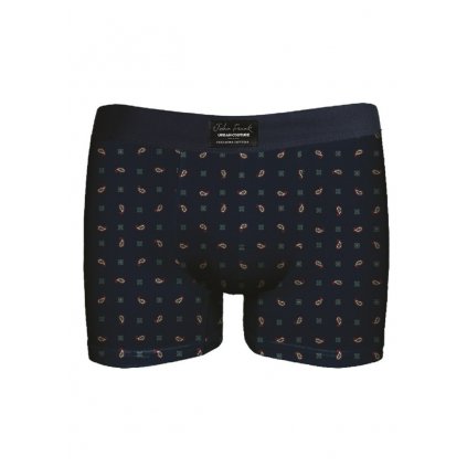 Pánské boxerky John Frank JFBUC137-SMART