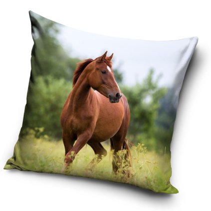 35259 povlak na polstarek kun hnedak na louce 40x40cm