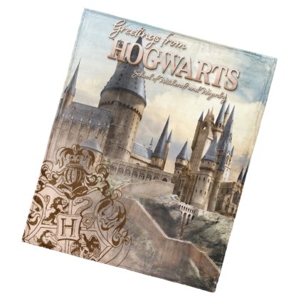 43089 1 detska deka harry potter bradavicke tajemstvi 130x160 045232 koso