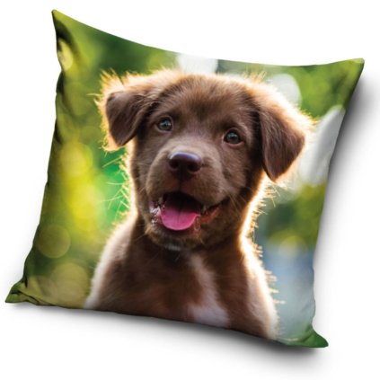 43242 1 dekoracni polstarek stenatko maly nezbeda