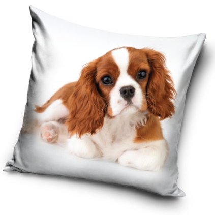 43248 dekoracni polstarek pejsek kavalir king charles spanel