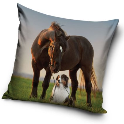 43320 dekoracni polstarek kun a border kolie