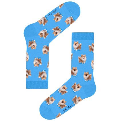 Dámské ponožky John Frank WJFLSFUN66