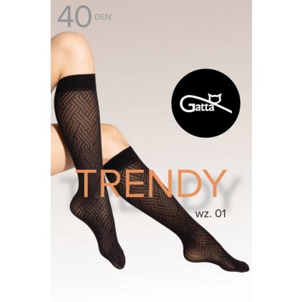 Silonkové podkolenky Gatta Knee Socks 01 40 DEN (Velikost UNI, Barva Černá)