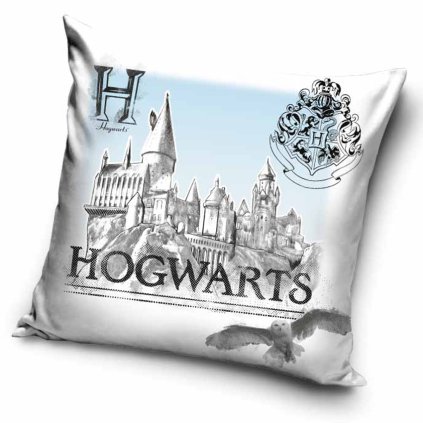Dětský polštářek Harry Potter Bradavický Portrét
