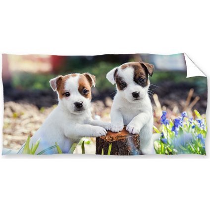 Froté osuška Bráškové Jack Russell Teriér