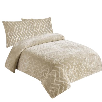 2457 2 vlnka bezova pozadi