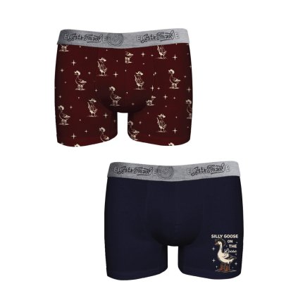 Pánské boxerky John Frank JF2BEF42 2PACK (Velikost L, Barva Vícebarevná)