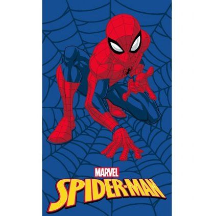 2922 1 spiderman pavouci muz