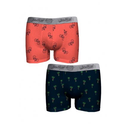 Boxerky John Frank JF2BEF28 2Pack (Velikost L, Barva Vícebarevná)
