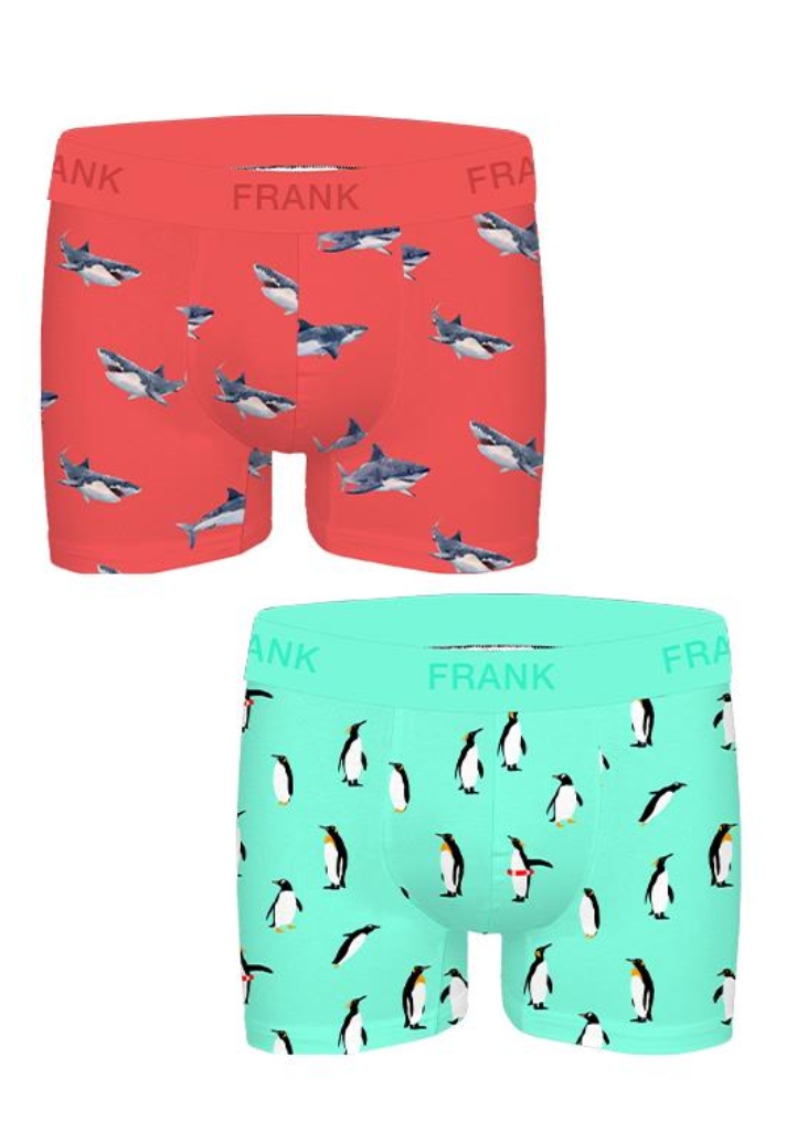 Boxerky JOHN FRANK JF2BFUN03 Barva: Vícebarevná, Velikost: S