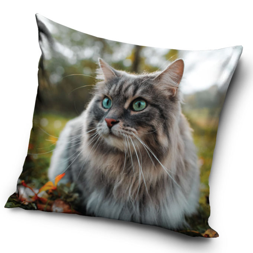 Carbotex Dekorační polštářek Kočka Sibiřská