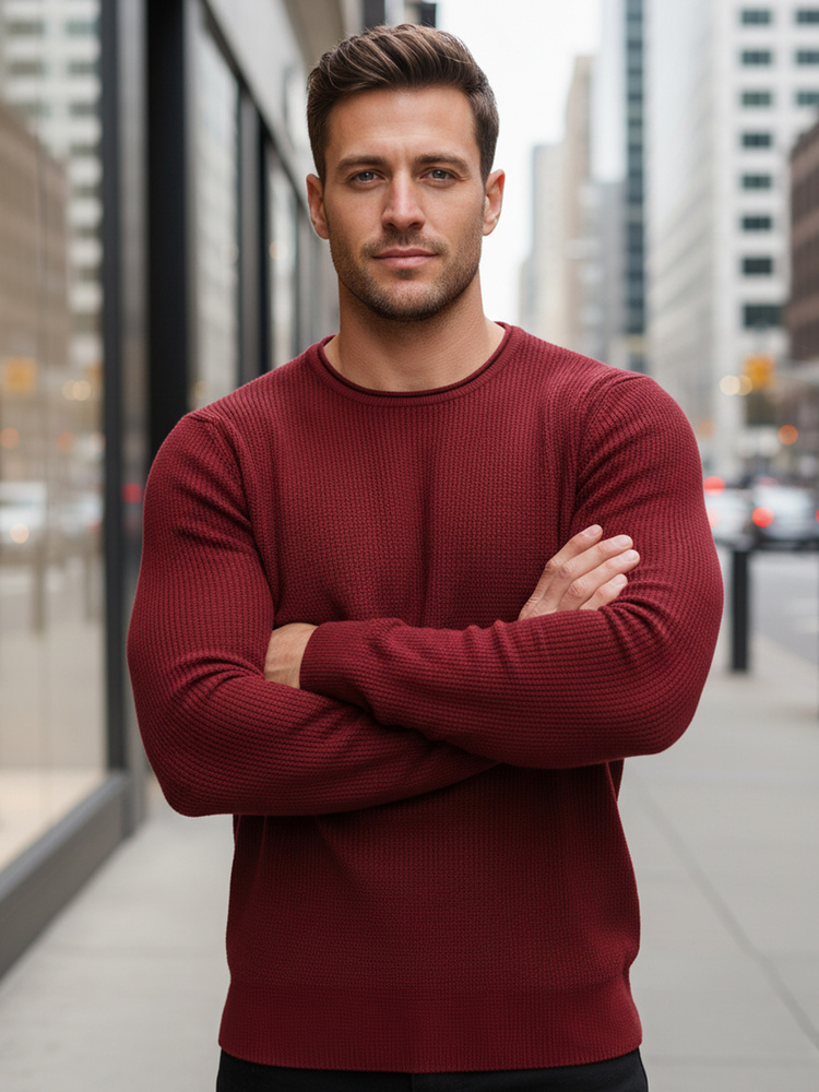 Pánský svetr vínový WX2295 M