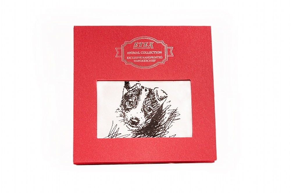 Etex Kapesník L35 dárková krabička (1 ks) Varianta: Kapesník L35 dárková krabička Pes (1 ks)