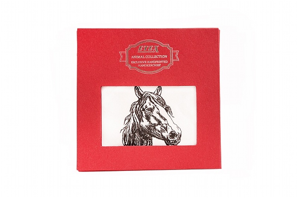 Etex Kapesník L35 dárková krabička (1 ks) Varianta: Kapesník L35 dárková krabička Kůň (1 ks)