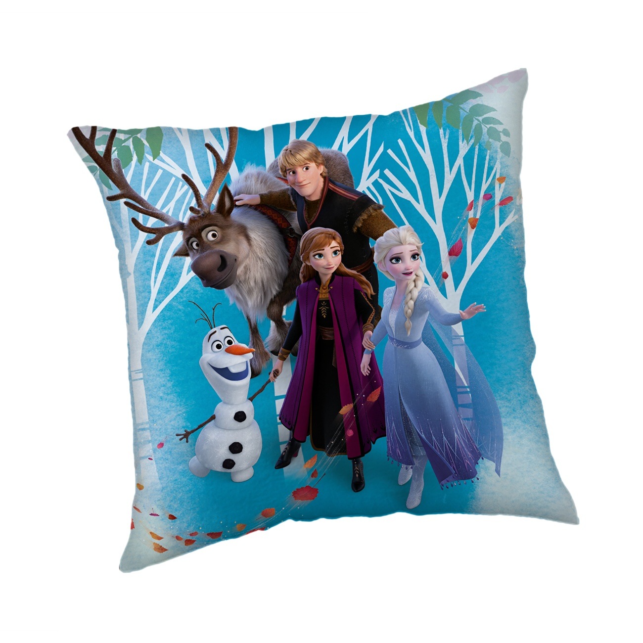 Jerry Fabrics Polštářek Frozen 02 Family Varianta: Polštářek Frozen 02 Family 40x40 cm