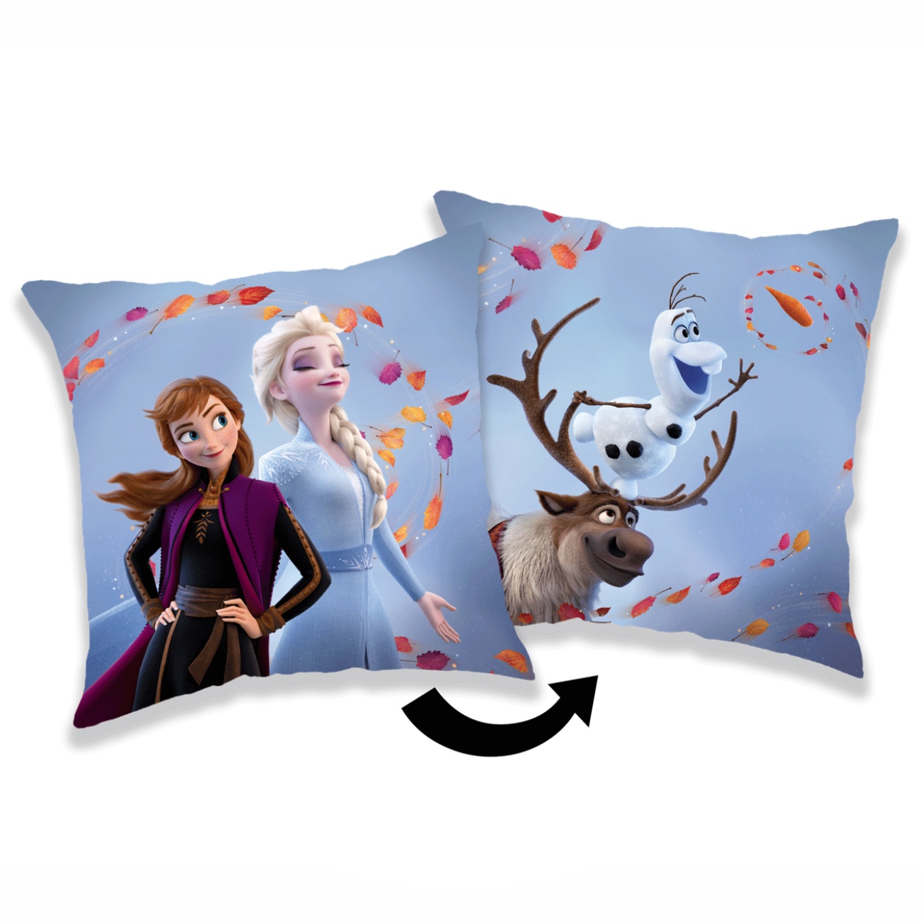 Levně Jerry Fabrics Polštářek Frozen 2 Wind 02 40x40 cm