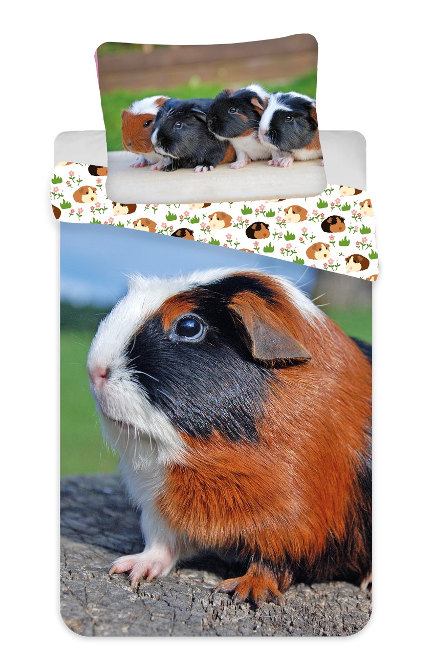 Jerry Fabrics Povlečení fototisk Morče 02 Varianta: Povlečení fototisk Morče 02 140x200, 70x90 cm