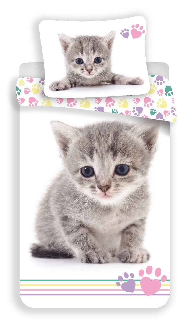 Levně Jerry Fabrics Povlečení fototisk Kitten colour 140x200, 70x90 cm