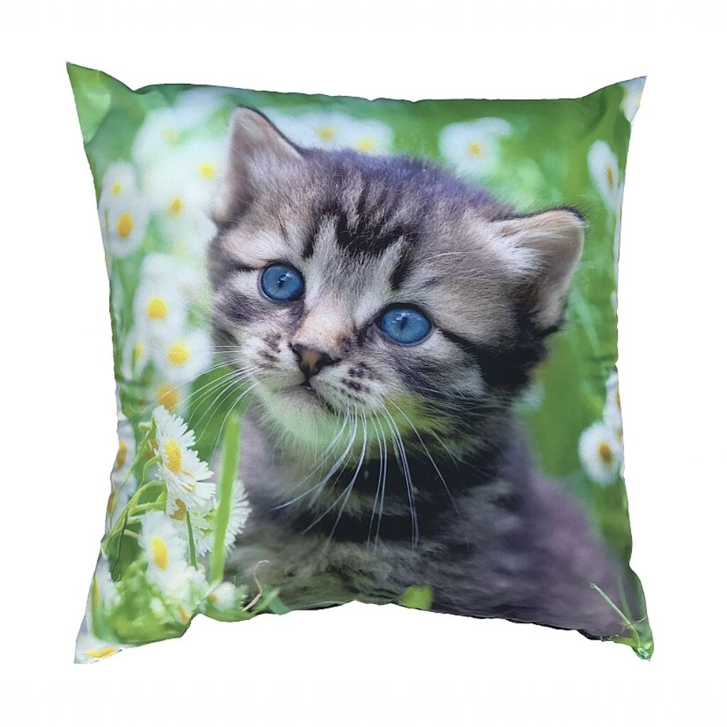 Dadka Fotopolštářek Kotě na louce Varianta: Fotopolštářek Kotě na louce 40x40 cm