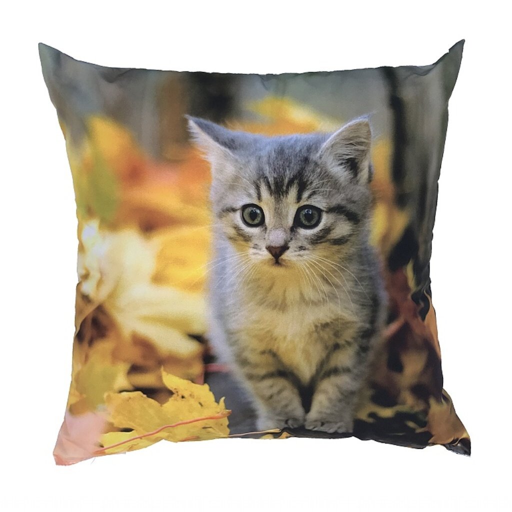 Dadka Fotopolštářek Kotě s listím Varianta: Fotopolštářek Kotě s listím 40x40 cm