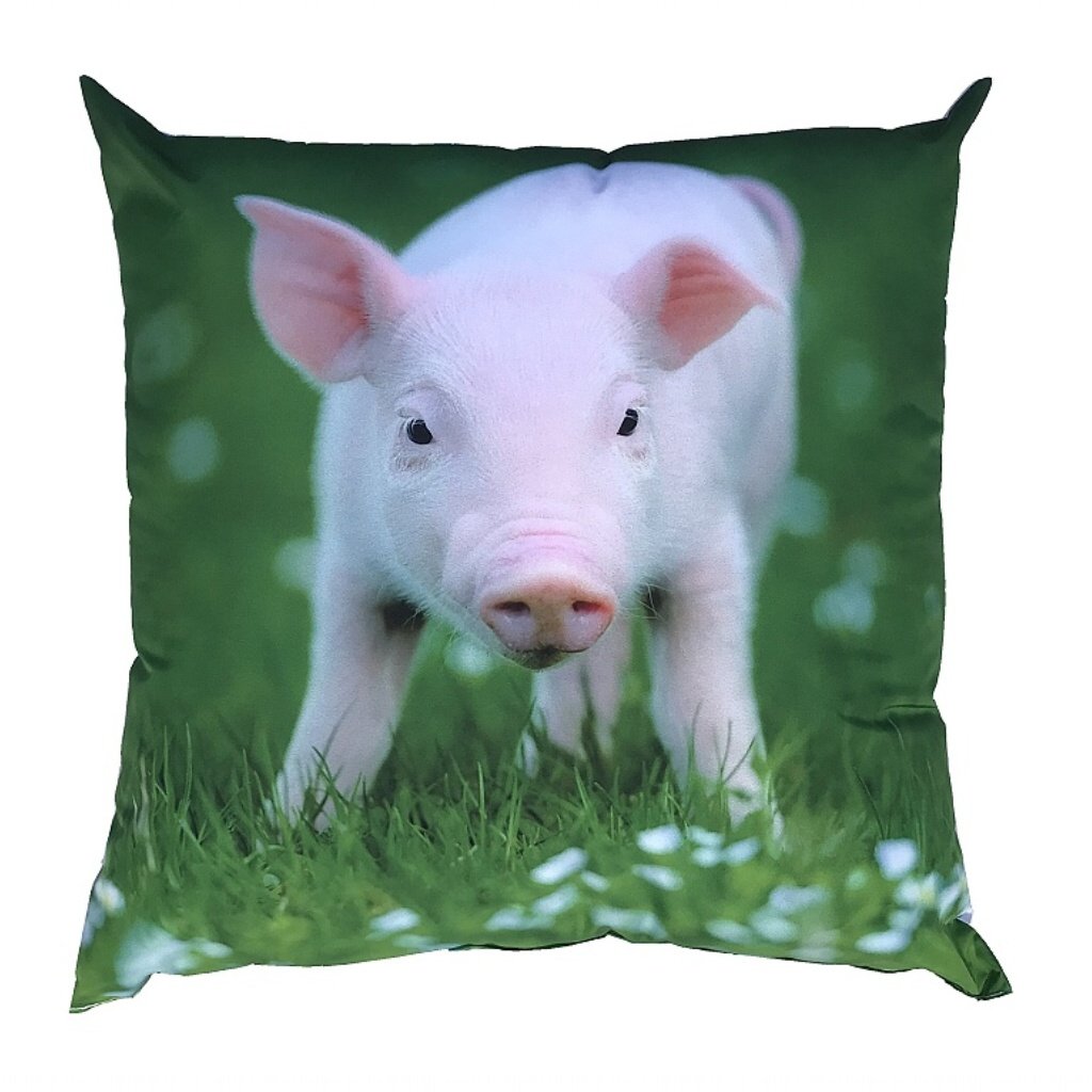 Dadka Fotopolštářek Prasátko Varianta: Fotopolštářek Prasátko 40x40 cm