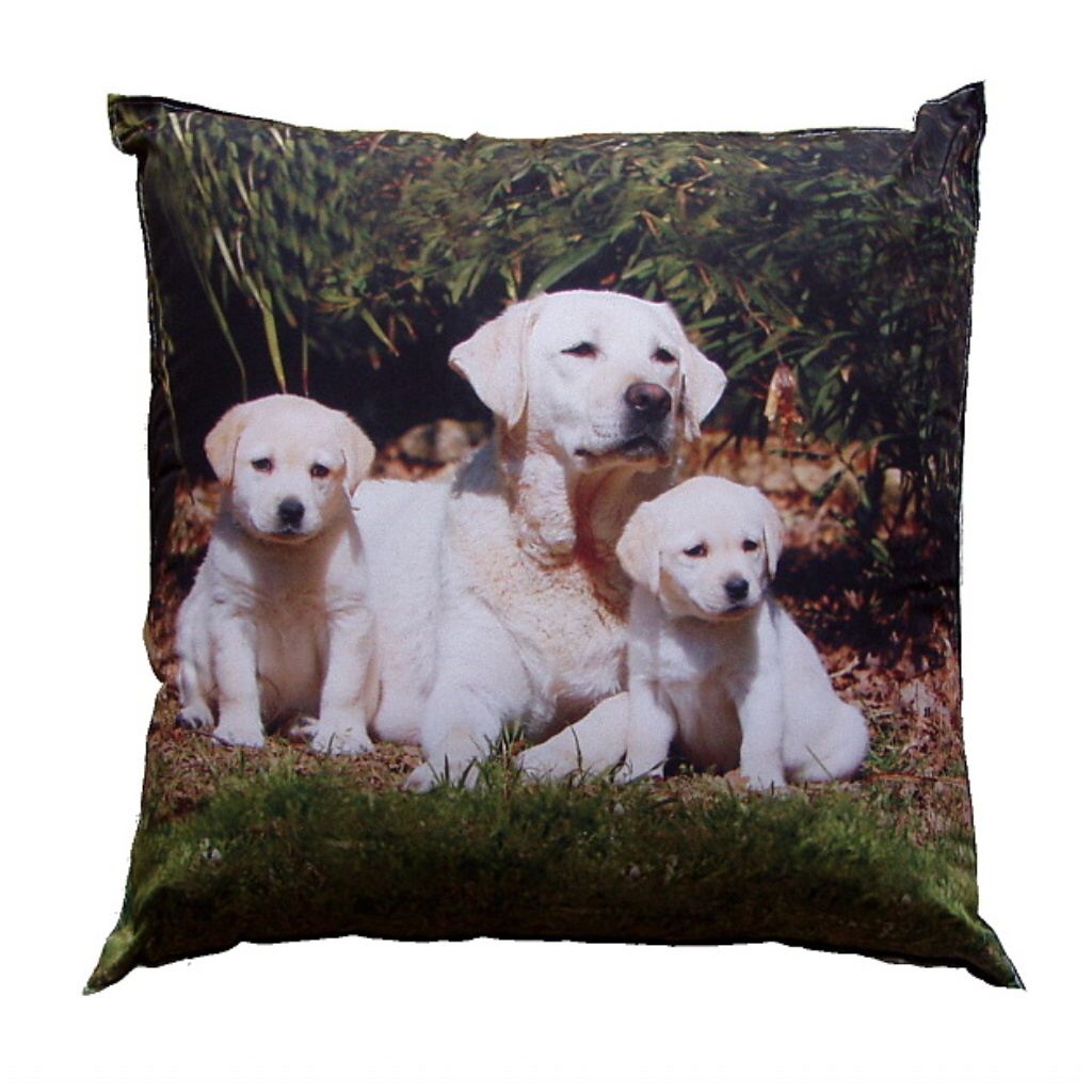 Dadka Fotopolštářek Psí rodinka Varianta: Fotopolštářek Psí rodinka 40x40 cm