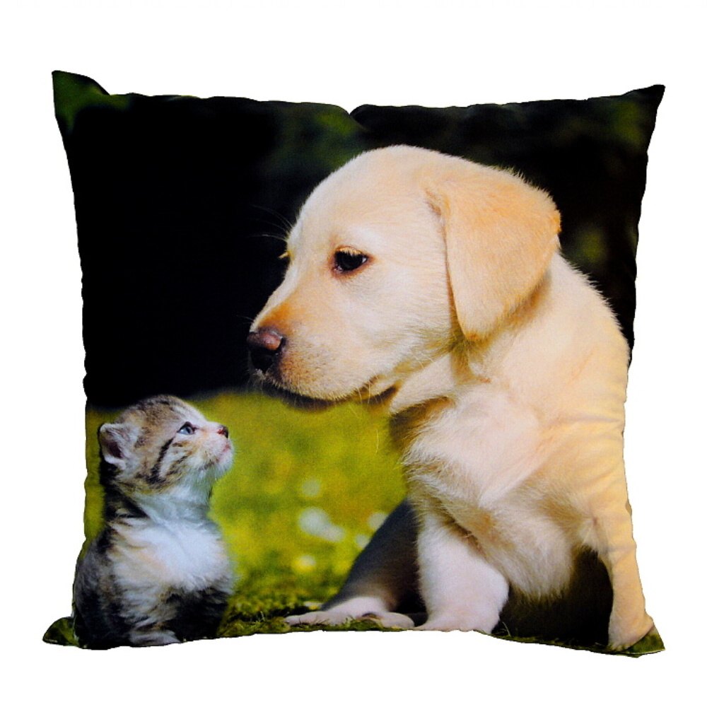 Dadka Fotopolštářek Kotě a štěně na trávě Varianta: Fotopolštářek Kotě a štěně na trávě 40x40 cm