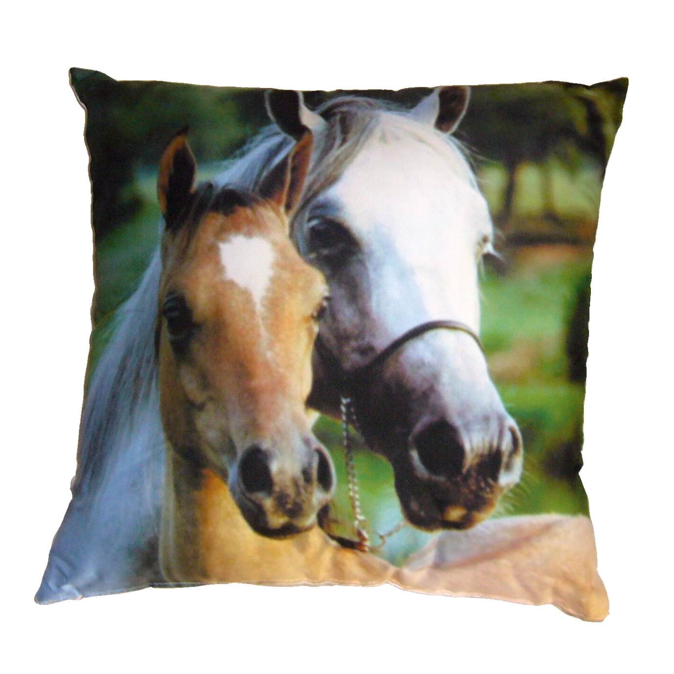 Dadka Fotopolštářek Koně Varianta: Fotopolštářek Koně 40x40 cm