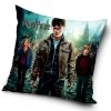 Polštářek Harry Potter a Čarodějové