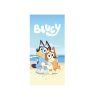10206 1 osuska bluey beach dadka vracov