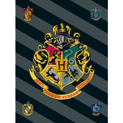 Detská fleecová deka Harry Potter 067
