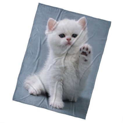 Mikroplyšová deka Mačiatko Daj Pac 150x200 cm