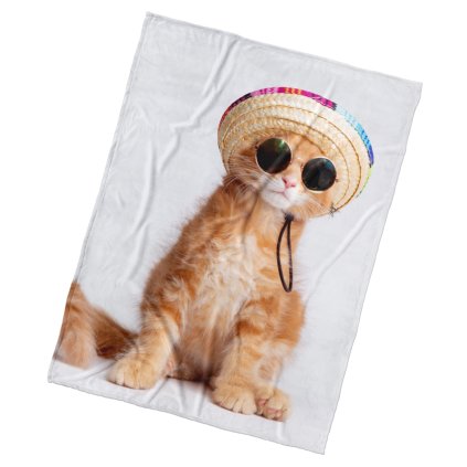 Mikroplyšová deka Mačiatko Letné Elegance 150x200 cm