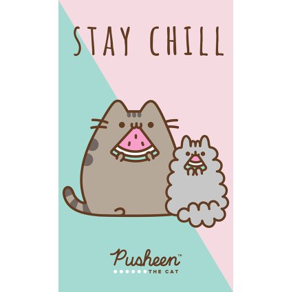 Detská osuška Pusheen Stay Chill 30x50 cm