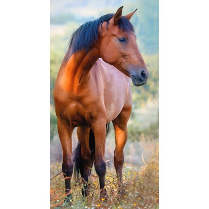 217379 40373 frote rucnicek hnedak na louce 30x50cm