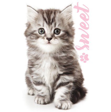 Froté uteráček Kocúrik Mourek