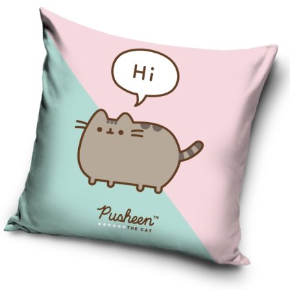 227466 41504 1 detsky polstarek kocicka pusheen ja kosista