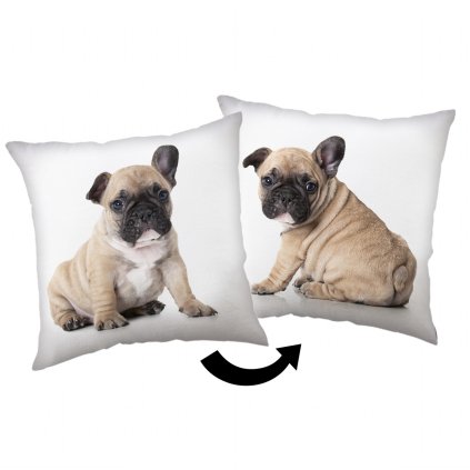 152918 polstarek bulldog