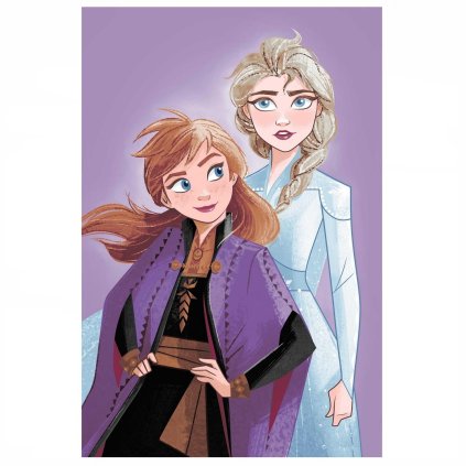 153569 mikroflanelova deka frozen purple 05