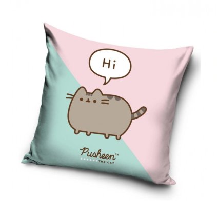 170885 povlak na polstarek kocicka pusheen ja kosista