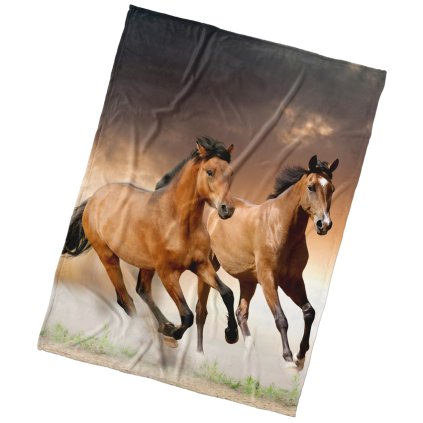 182645 42950 mikroplysova deka kone hnedaci 150x200