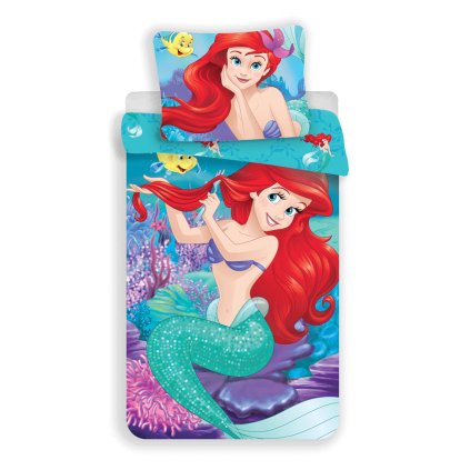 208067 1110 7 ariel 031