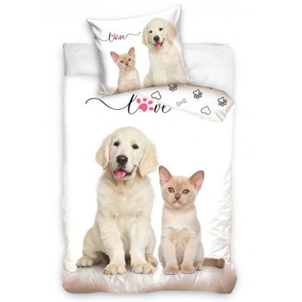 208847 2406 1 stenatko kotatko