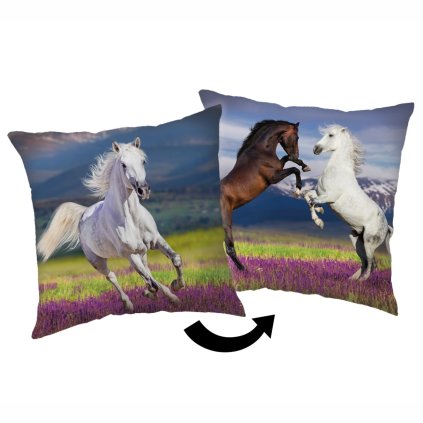 209360 333 1 polstarek kun 02