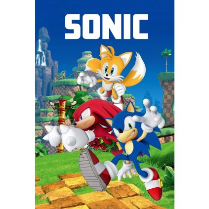 212027 7980 1 deka sonic 023