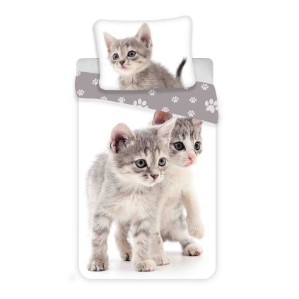 Obliečky fototlač Kitten grey