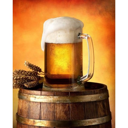 Mikroflanelová deka Pivo