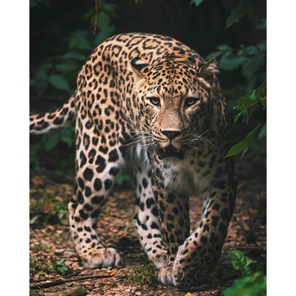 Mikroflanelová detská deka Leopard green
