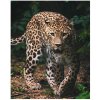210548 5292 4 deka leopard